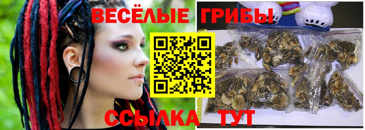 Псилоцибиновые грибы Magic Shrooms  Вход с VPN  Псилоцибиновые грибы GOLDEN TEACHER  Вязьма 